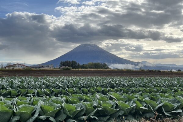 1EA89774-EAB4-4B35-A015-BE4476888D9B_1_105_c