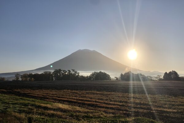 6320D8C0-CF9E-4885-8A4D-37BAFACF1876_1_105_c