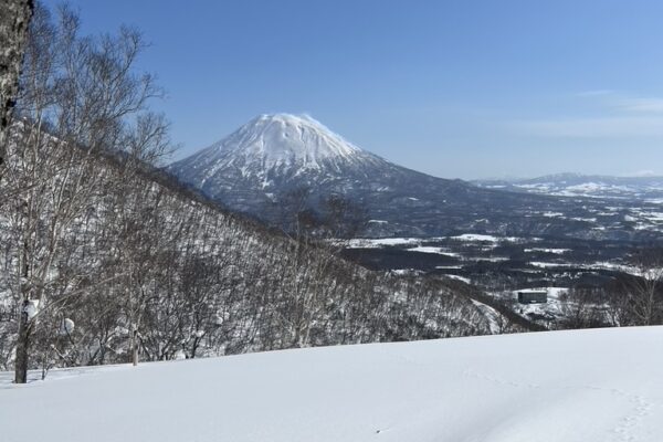 Copy of 09112551-7A9F-405F-A99C-1A73E7DB7940_1_105_c