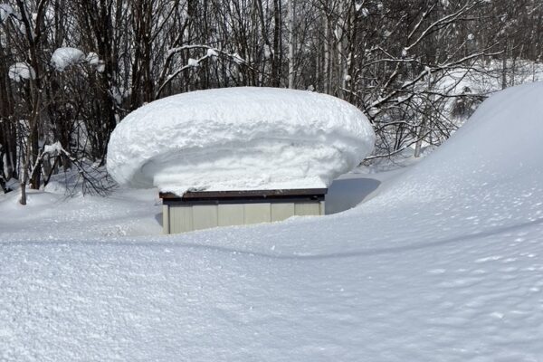 Copy of 5BEEE672-EB95-48FB-A857-DC42FADBCED7_1_105_c