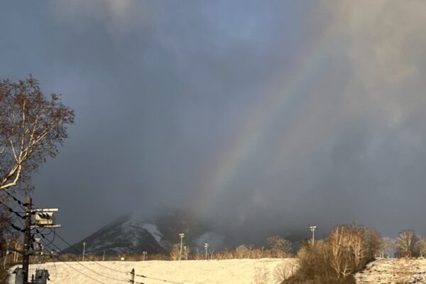 Copy of 714C71C5-EF8D-4F4A-834F-45F125A919EA_1_105_c