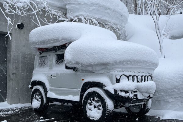 Copy of 71F2DA52-590E-4956-8C8A-E4FF97B6E5F3_1_105_c