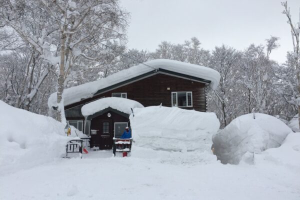 Copy of 776FD8EA-CD09-4AB9-917E-333F68CE30F8_1_105_c